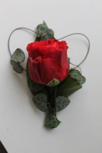 rintakukka punaisesta ruususta